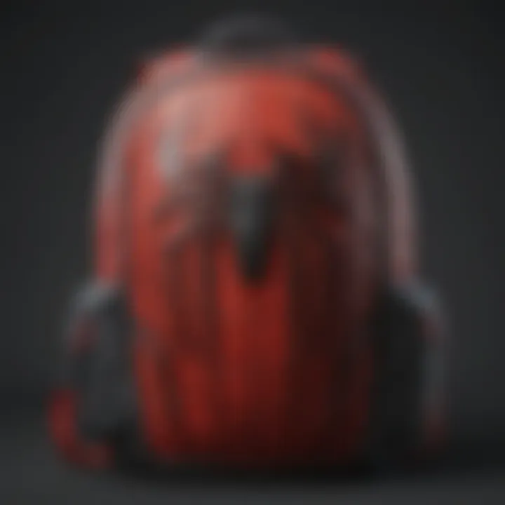 Spiderman Backpack User Experience