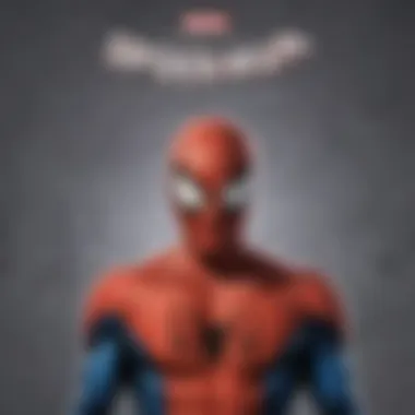 Cover art of Spider-Man: The Animated Series DVD collection showcasing vibrant artwork.
