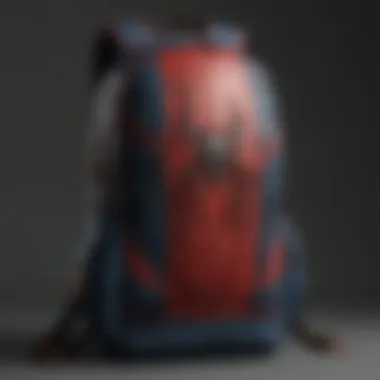 Iconic Spider-Man Book Bag Collection