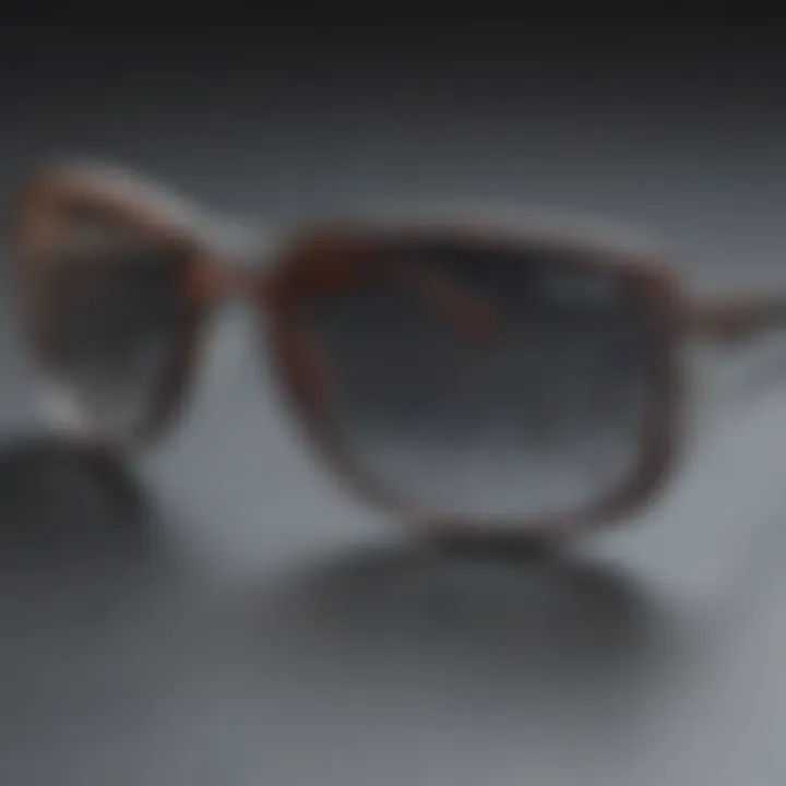 Marvelous Spider Web Design Sunglasses