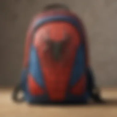 Sleek Spider-Man Themed Backpack