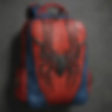 Trendsetting Spider-Man Book Bag Patterns